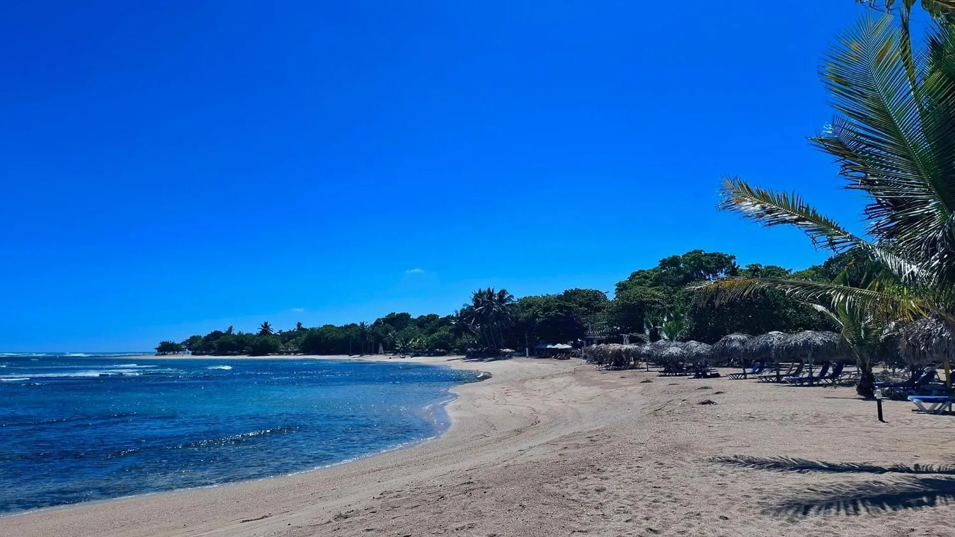 Beach Apartment With Pool - Costambar Las Flores