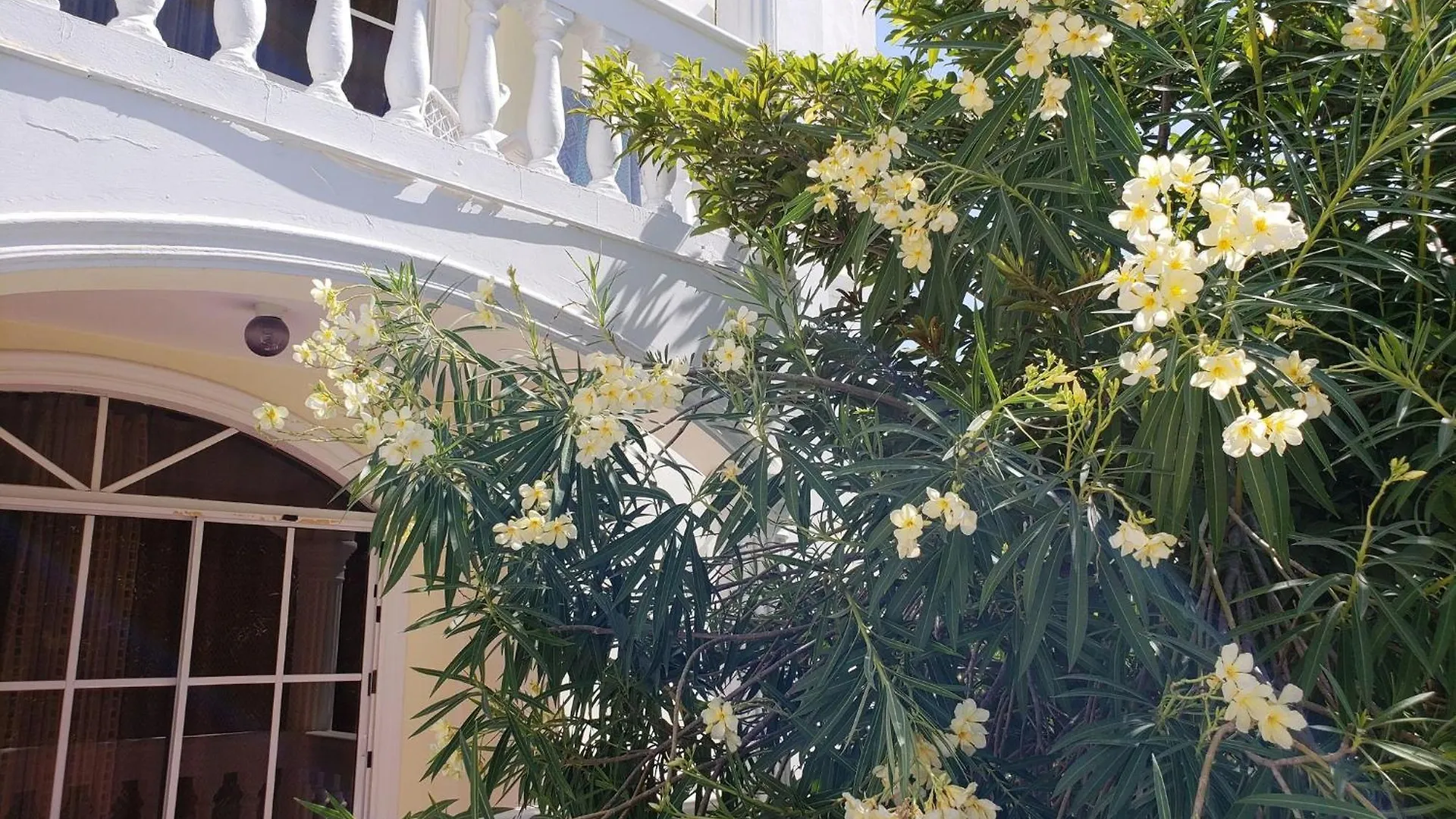 Beach Apartment With Pool - Costambar Las Flores