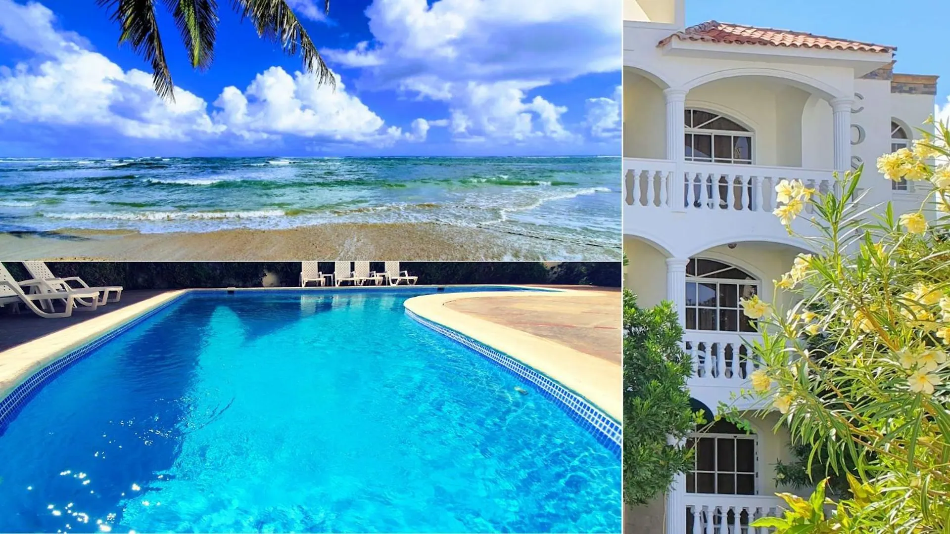 Beach Apartment With Pool - Costambar Las Flores